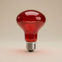 Red Light Therapy Bulb