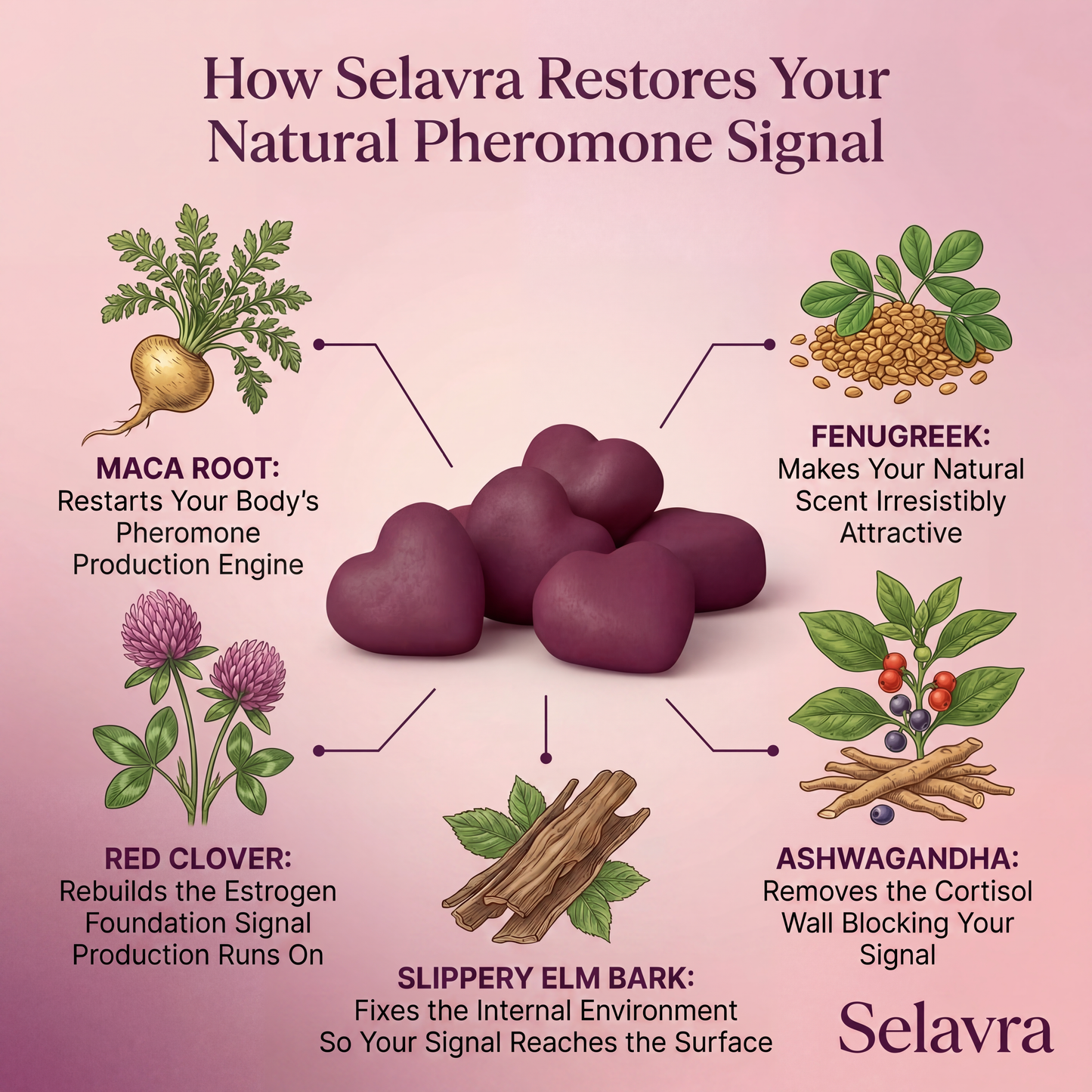 Pheromone Gummies